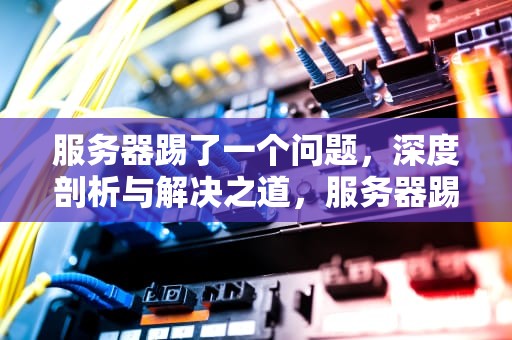 服务器踢了一个问题，深度剖析与解决之道，服务器踢了一个问题怎么办