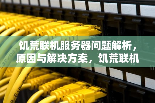 饥荒联机服务器问题解析，原因与解决方案，饥荒联机服务器有问题怎么解决