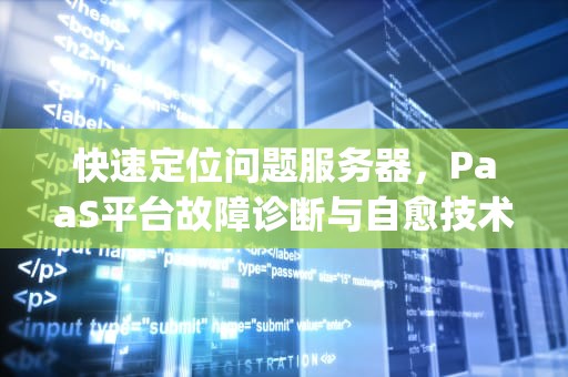 快速定位问题服务器，PaaS平台故障诊断与自愈技术解析，paas的服务模式