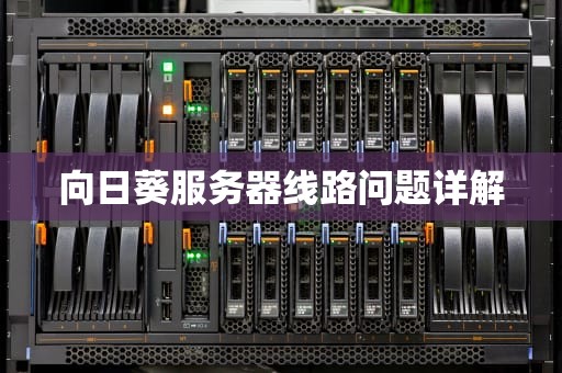 向日葵服务器线路问题详解