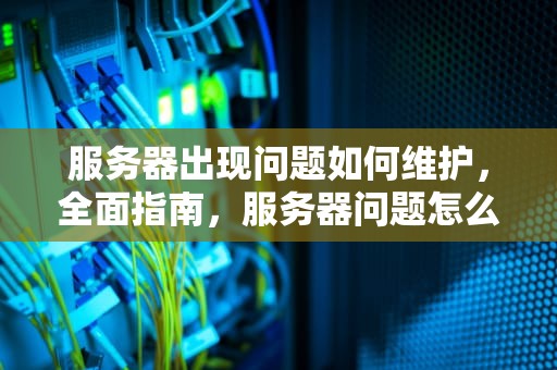 服务器出现问题如何维护，全面指南，服务器问题怎么解决