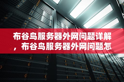 布谷鸟服务器外网问题详解，布谷鸟服务器外网问题怎么解决
