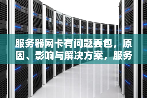 服务器网卡有问题丢包，原因、影响与解决方案，服务器网卡有问题丢包怎么办