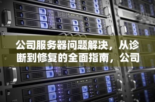公司服务器问题解决，从诊断到修复的全面指南，公司服务器问题解决方案
