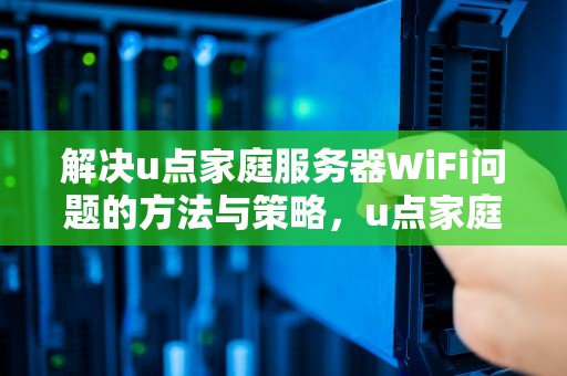 解决u点家庭服务器WiFi问题的方法与策略，u点家庭服务器wifi上不了网