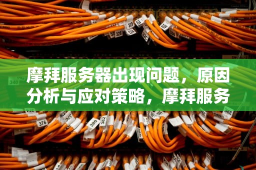 摩拜服务器出现问题，原因分析与应对策略，摩拜服务器出现问题怎么解决