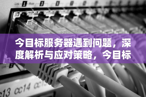 今目标服务器遇到问题，深度解析与应对策略，今目标服务器遇到问题怎么解决