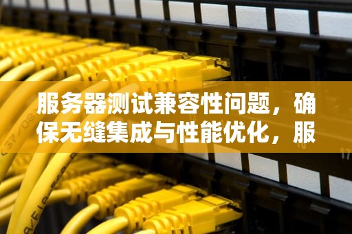 服务器测试兼容性问题，确保无缝集成与性能优化，服务器测试兼容性问题有哪些