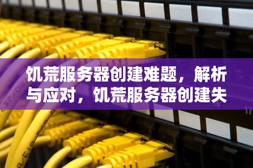 饥荒服务器创建难题，解析与应对，饥荒服务器创建失败