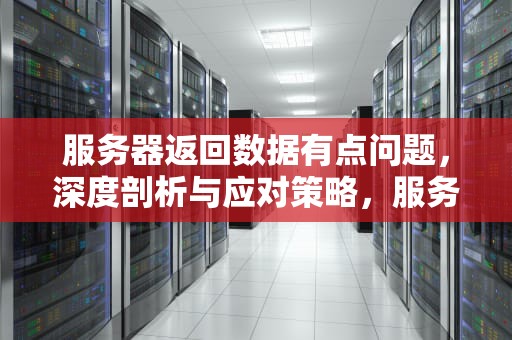 服务器返回数据有点问题，深度剖析与应对策略，服务器返回数据有点问题是什么意思