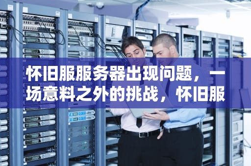 怀旧服服务器出现问题，一场意料之外的挑战，怀旧服服务器出现问题怎么解决