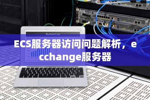 ECS服务器访问问题解析，ecchange服务器