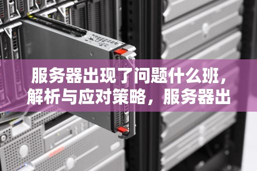 服务器出现了问题什么班，解析与应对策略，服务器出了点问题
