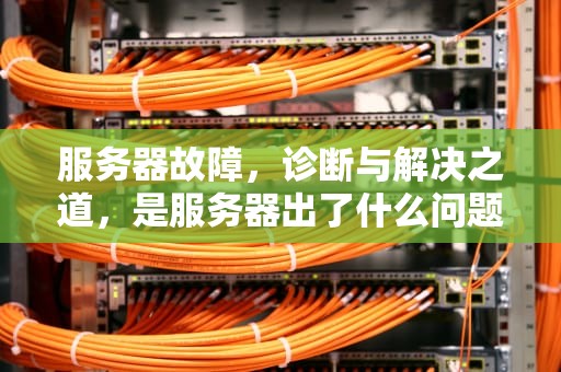 服务器故障，诊断与解决之道，是服务器出了什么问题啊