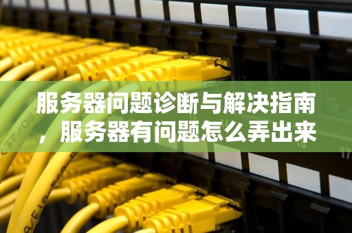 服务器问题诊断与解决指南，服务器有问题怎么弄出来
