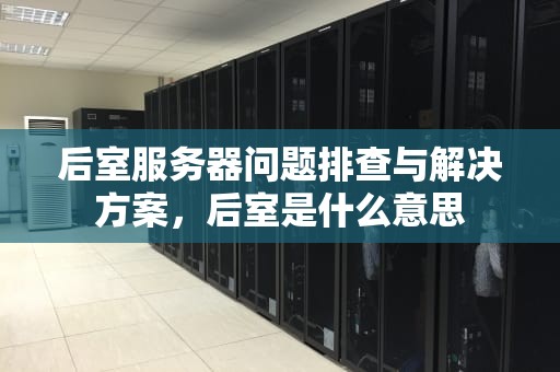 后室服务器问题排查与解决方案，后室是什么意思