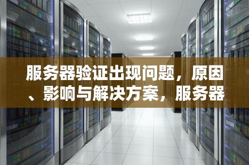 服务器验证出现问题，原因、影响与解决方案，服务器验证出现问题怎么解决