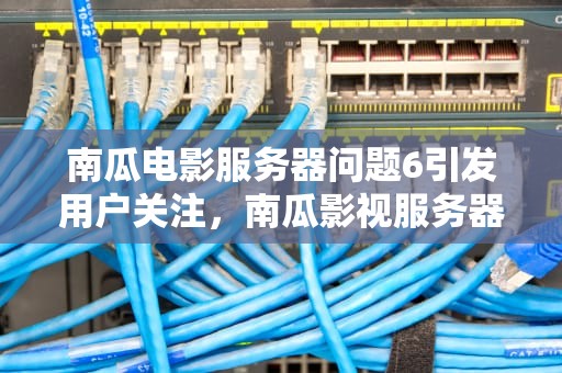 南瓜电影服务器问题6引发用户关注，南瓜影视服务器