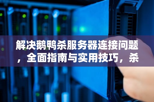 解决鹅鸭杀服务器连接问题，全面指南与实用技巧，杀鸭杀鹅视频
