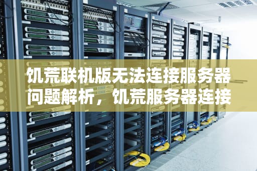 饥荒联机版无法连接服务器问题解析，饥荒服务器连接出错