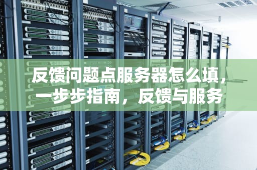 反馈问题点服务器怎么填，一步步指南，反馈与服务