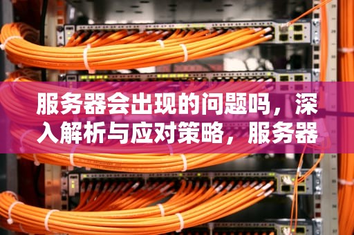 服务器会出现的问题吗，深入解析与应对策略，服务器会出现的问题吗知乎