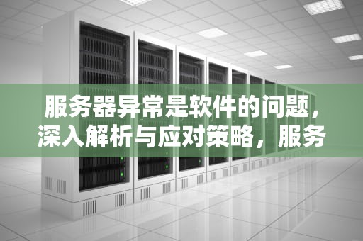 服务器异常是软件的问题，深入解析与应对策略，服务器异常是软件的问题吗