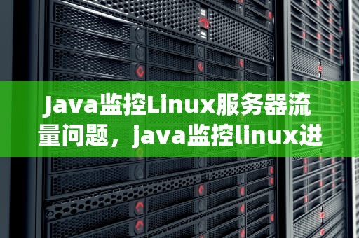 Java监控Linux服务器流量问题，java监控linux进程