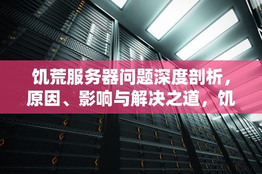 饥荒服务器问题深度剖析，原因、影响与解决之道，饥荒服务器有点问题