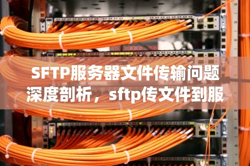 SFTP服务器文件传输问题深度剖析，sftp传文件到服务器