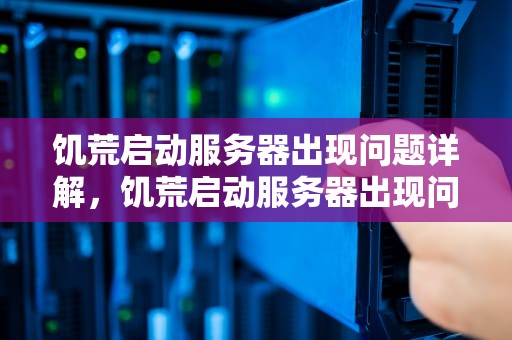 饥荒启动服务器出现问题详解，饥荒启动服务器出现问题怎么解决