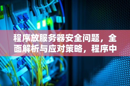 程序放服务器安全问题，全面解析与应对策略，程序中的服务器错误怎么回事