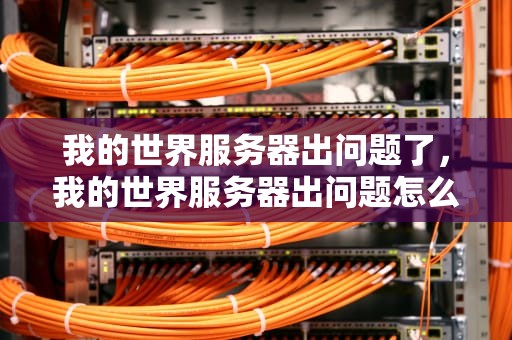 我的世界服务器出问题了，我的世界服务器出问题怎么办解决视频