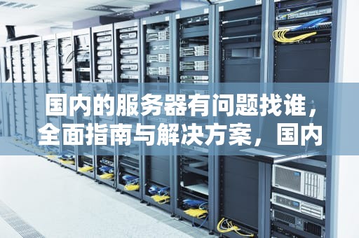国内的服务器有问题找谁，全面指南与解决方案，国内的服务器有问题找谁解决