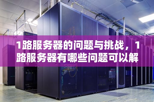1路服务器的问题与挑战，1路服务器有哪些问题可以解决
