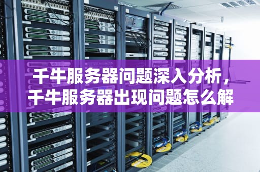 千牛服务器问题深入分析，千牛服务器出现问题怎么解决