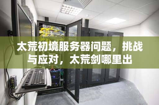 太荒初境服务器问题，挑战与应对，太荒剑哪里出