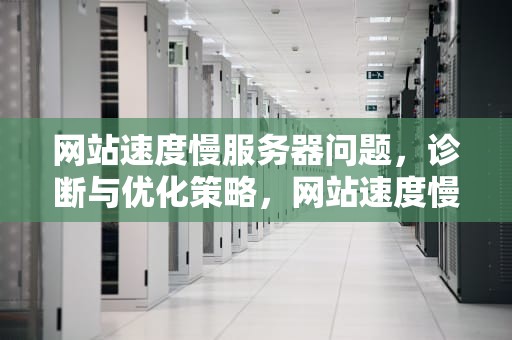 网站速度慢服务器问题，诊断与优化策略，网站速度慢服务器问题怎么解决