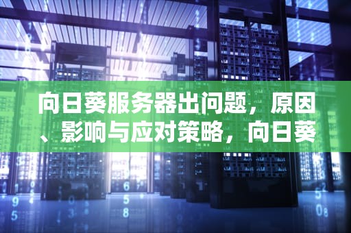 向日葵服务器出问题，原因、影响与应对策略，向日葵服务器出问题了