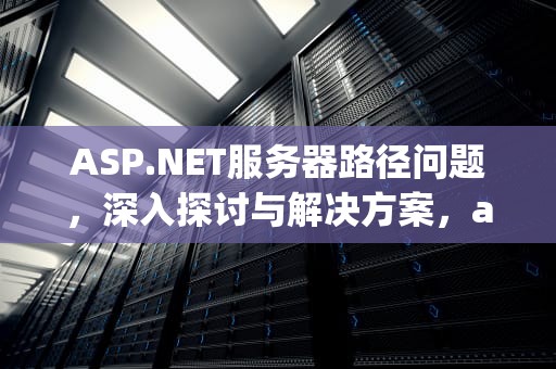 ASP.NET服务器路径问题，深入探讨与解决方案，asp.net web服务器