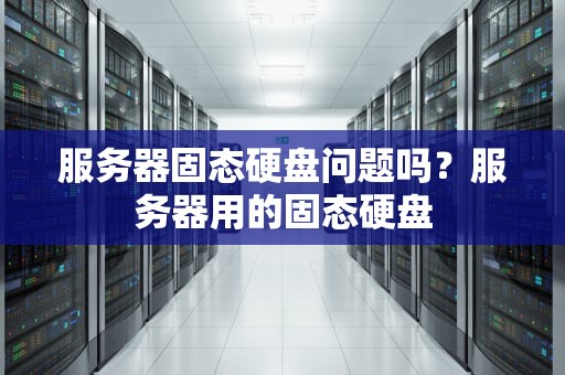 服务器固态硬盘问题吗？服务器用的固态硬盘