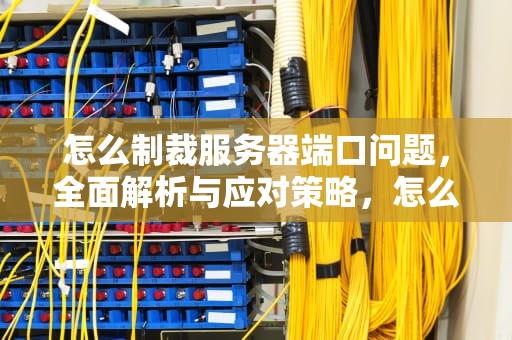 怎么制裁服务器端口问题，全面解析与应对策略，怎么制裁服务器端口问题的软件