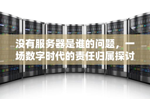 没有服务器是谁的问题，一场数字时代的责任归属探讨，没有服务器是什么意思