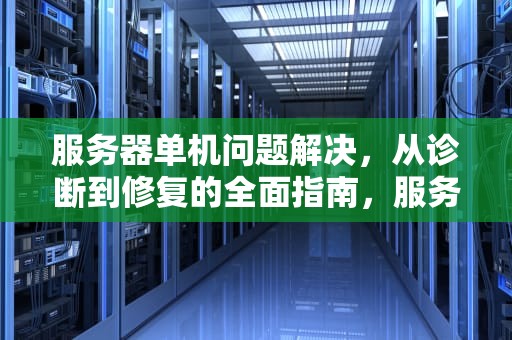 服务器单机问题解决，从诊断到修复的全面指南，服务器单机问题解决方案