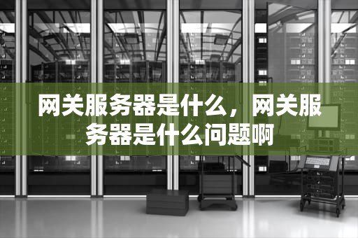 网关服务器是什么，网关服务器是什么问题啊