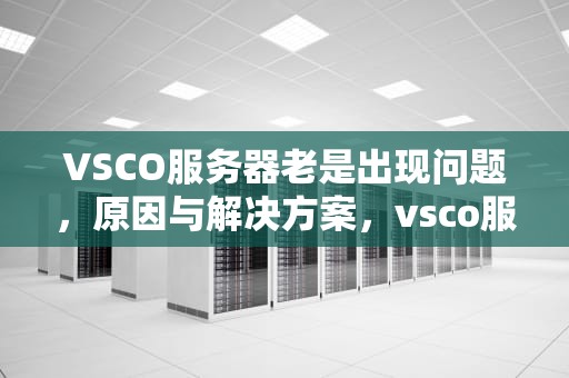 VSCO服务器老是出现问题，原因与解决方案，vsco服务器出错怎么办