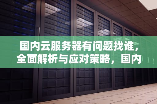 国内云服务器有问题找谁，全面解析与应对策略，国内云服务器有问题找谁解决