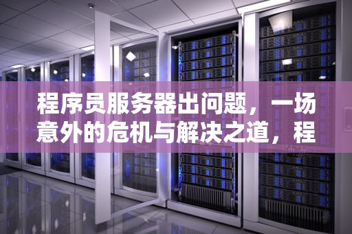 程序员服务器出问题，一场意外的危机与解决之道，程序员服务器出问题怎么解决