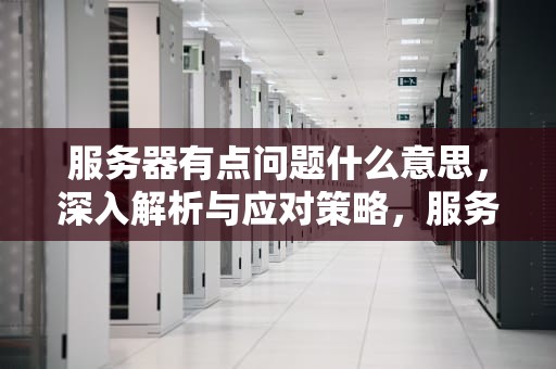 服务器有点问题什么意思，深入解析与应对策略，服务器有点问题什么意思啊