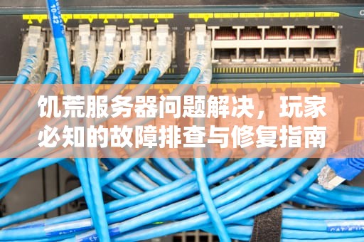 饥荒服务器问题解决，玩家必知的故障排查与修复指南，饥荒服务器有问题